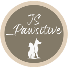 JS_Pawsitive